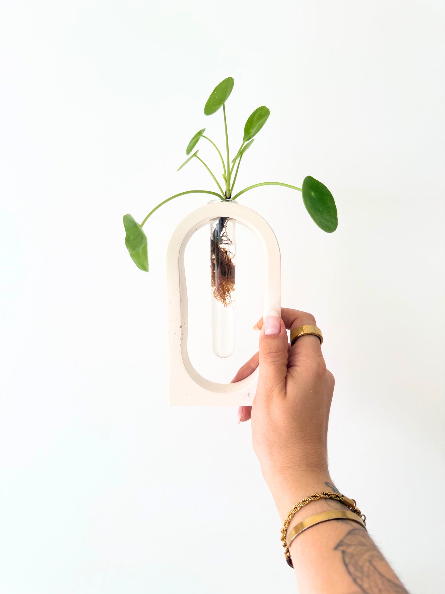 Station de bouturage SUNNY