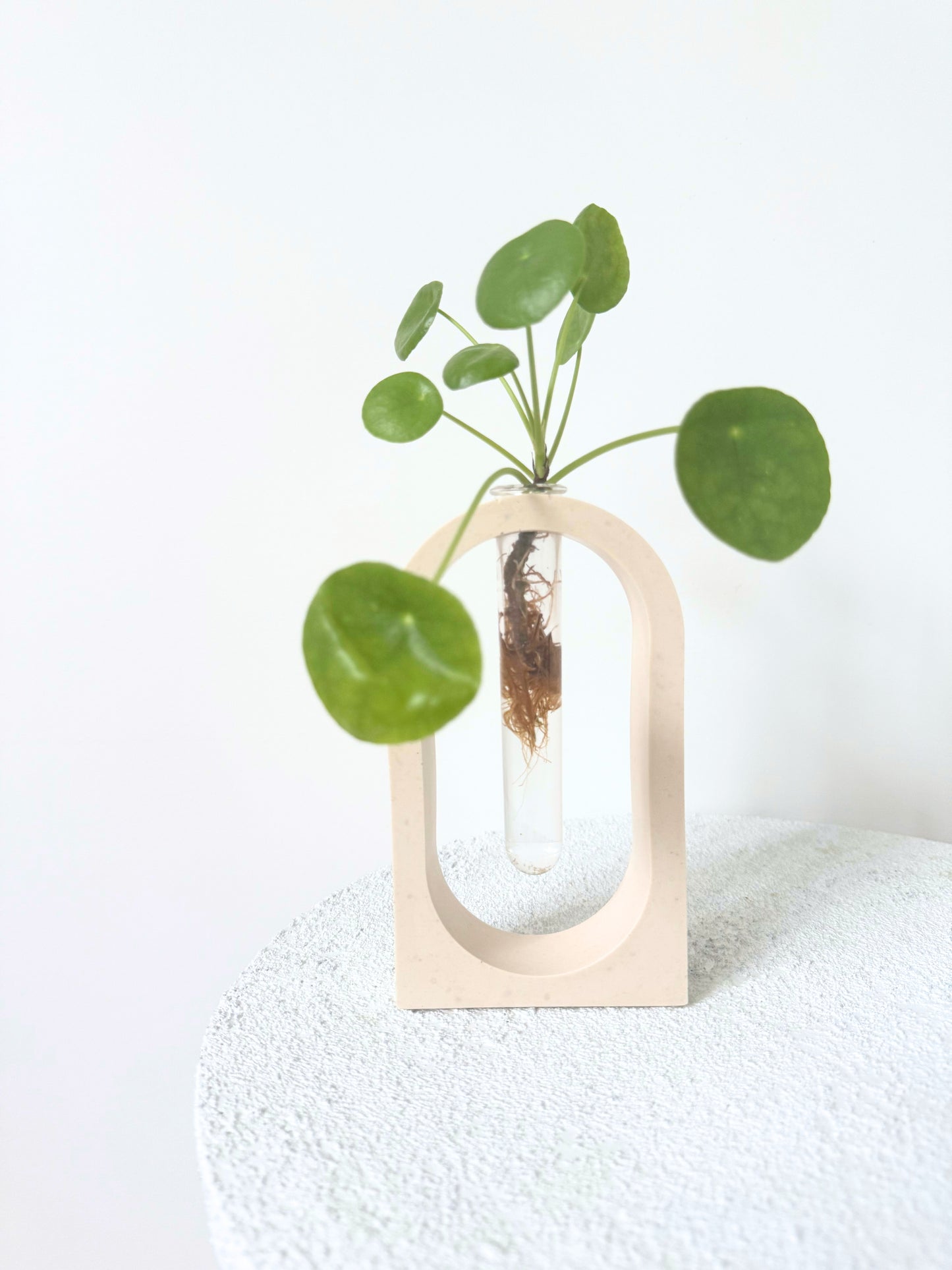 Station de bouturage SUNNY