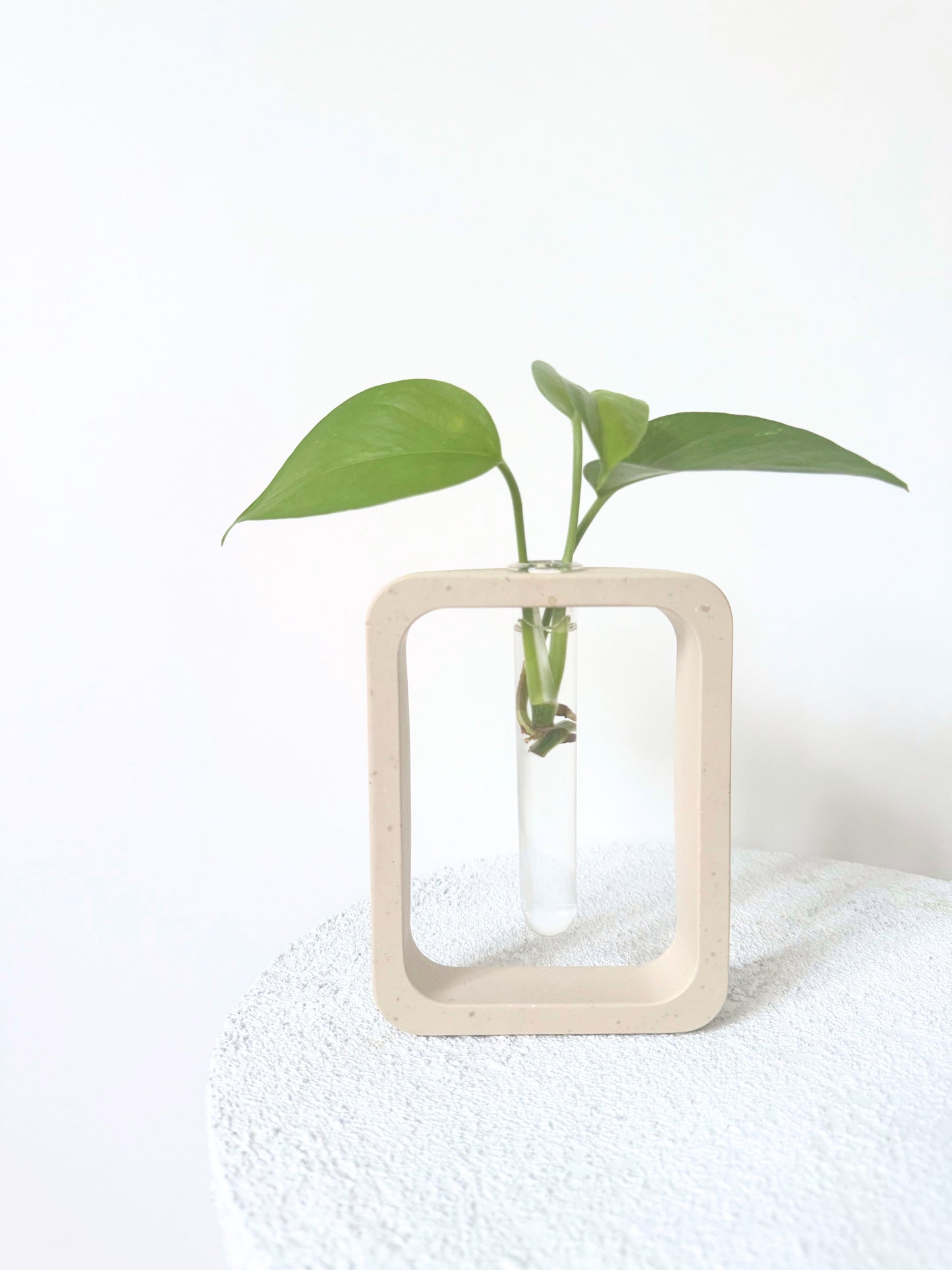 Station de bouturage SUN